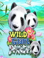 การเดินเงินบาคาร่า ทุน300 เทคนิคสร้างกำไร